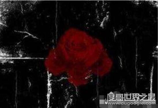 禁曲黑色星期天原版试听，黑色星期天歌词鉴赏(看了不要自杀)