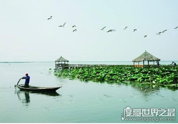 阳澄湖在哪里哪个省的，位于江苏省南部(跨吴县和昆山县)