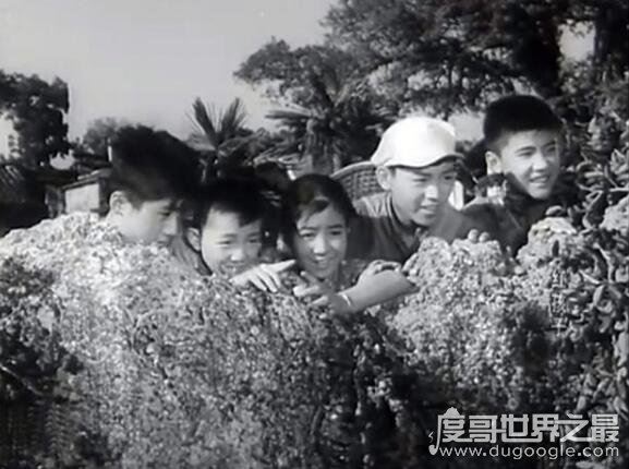 共产儿童团歌出自哪个电影,影片《红孩子》的主题曲(1958年上映)