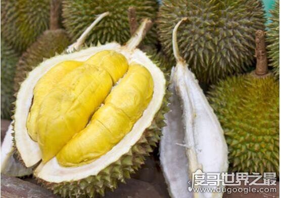 女性吃榴莲最佳时间,最后早上或中午吃(晚上最好不要吃)