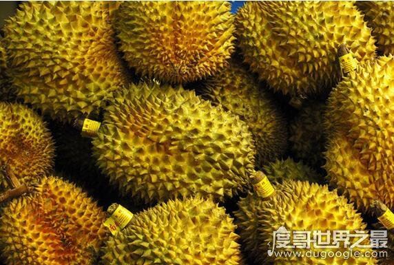 女性吃榴莲最佳时间，最后早上或中午吃(晚上最好不要吃)