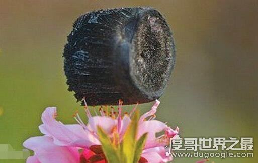 世界上最轻材料，全碳气凝胶密度仅是空气的六分之一