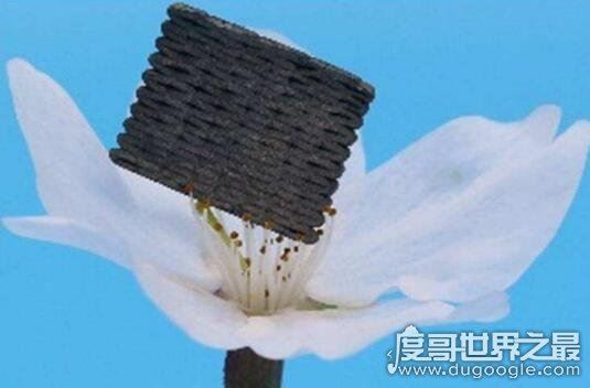 世界上最轻材料，全碳气凝胶密度仅是空气的六分之一