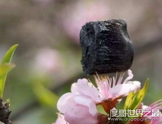 世界上最轻材料,全碳气凝胶密度仅是空气的六分之一