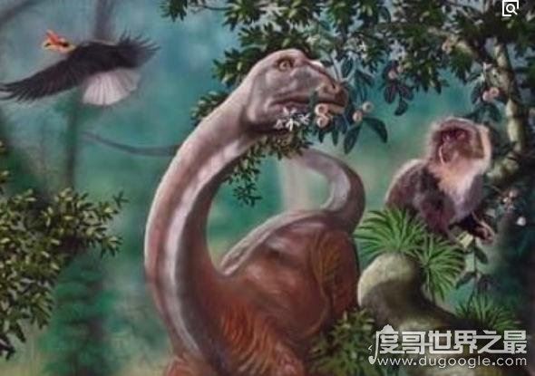刚果恐龙魔克拉姆边贝,世界上仅存的一只史前“恐龙”
