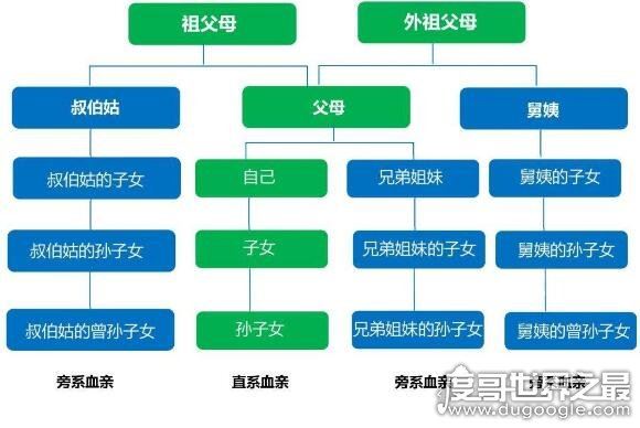 中国人亲戚关系图表,教你轻松搞明白你与亲戚之间的血缘关系