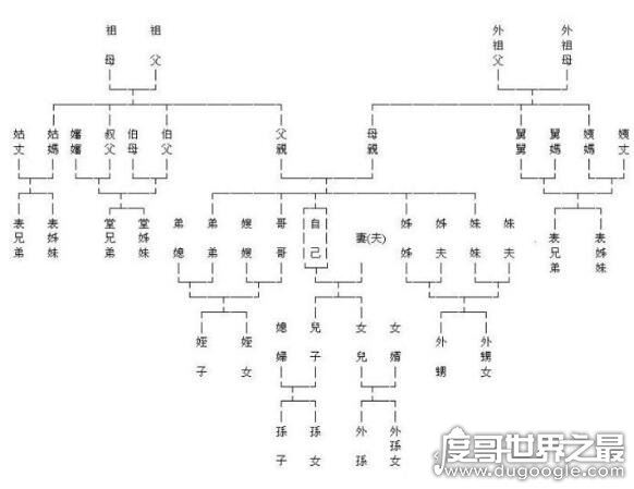 中国人亲戚关系图表,教你轻松搞明白你与亲戚之间的血缘关系