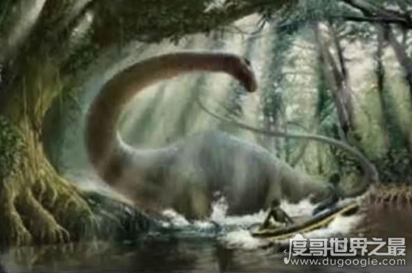 刚果恐龙魔克拉姆边贝，世界上仅存的一只史前“恐龙”