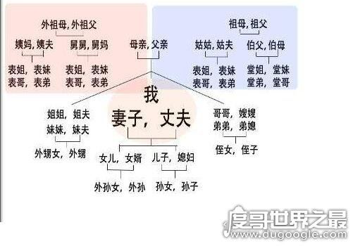 中国人亲戚关系图表,教你轻松搞明白你与亲戚之间的血缘关系