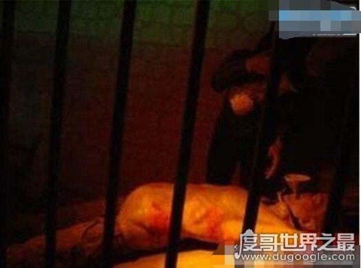 满清十大酷刑都有什么？最常用的15大酷刑(凌迟刑最恐怖)