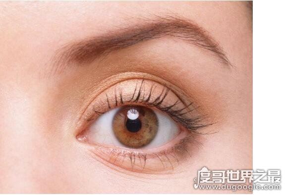 人的眼睛有多少像素，不同人像素不同(最高像素能超过10亿)