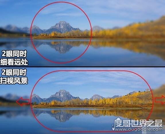 人的眼睛有多少像素,不同人像素不同(最高像素能超过10亿)