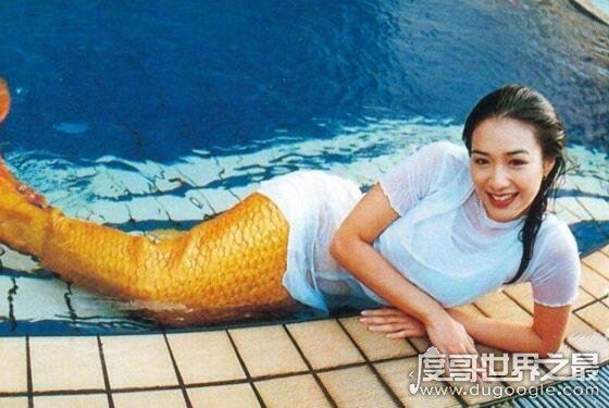 关于美人鱼的电影大全，动画小美人鱼系列最经典