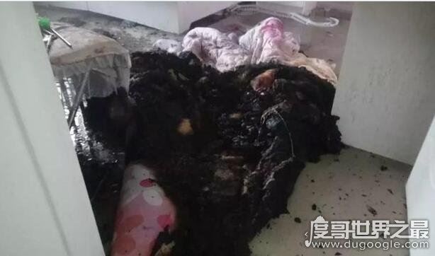 机智！家中起火女童报警，6岁女孩报警及时救了自己和3岁妹妹