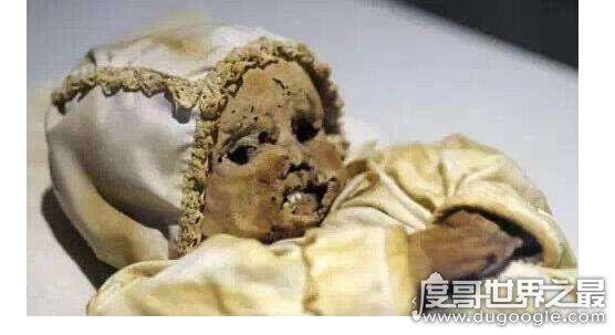 木乃伊怀孕是真是假,是假的(标本没有生命根本不具备怀孕条件)