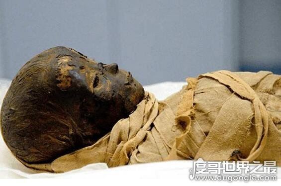 木乃伊怀孕是真是假,是假的(标本没有生命根本不具备怀孕条件)