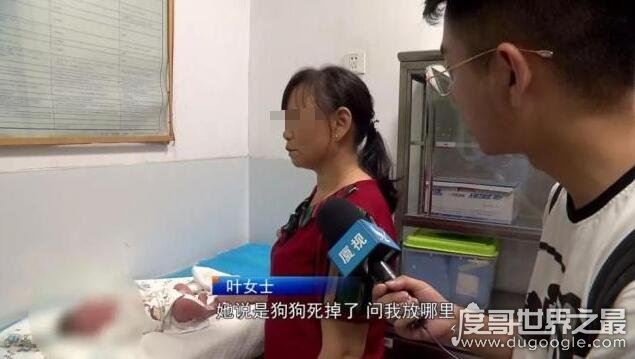 女子将新生男婴扔垃圾桶,被询问时竟称乃"死去的狗狗"