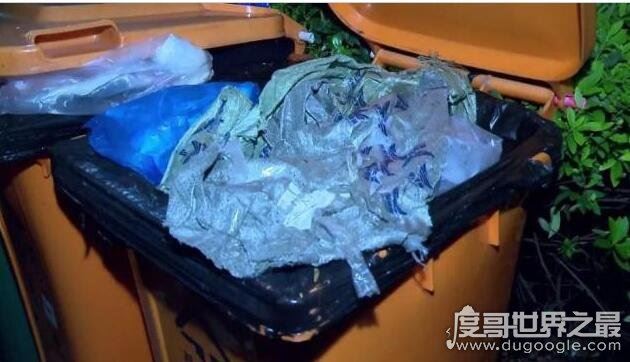 女子将新生男婴扔垃圾桶，被询问时竟称乃＂死去的狗狗＂