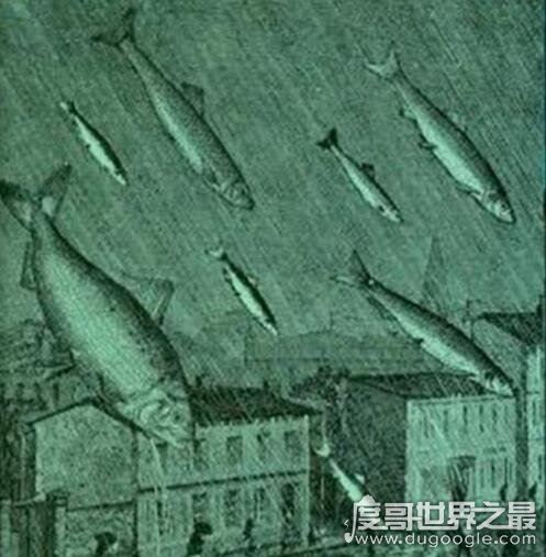 世界十大自然奇观，空中降鱼成为免费的午餐