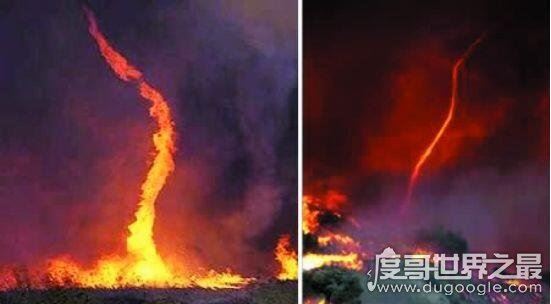 世界十大自然奇观，空中降鱼成为免费的午餐