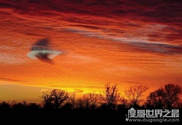 世界十大自然奇观，空中降鱼成为免费的午餐