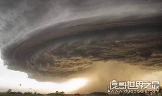 世界十大自然奇观，空中降鱼成为免费的午餐