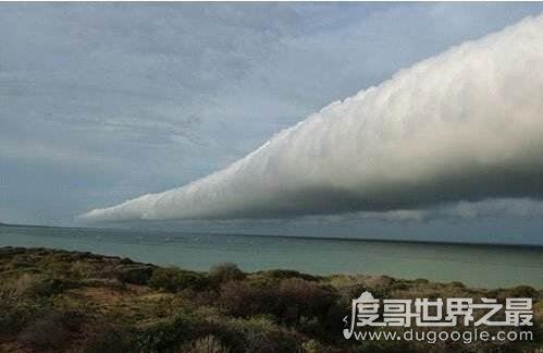 世界十大自然奇观，空中降鱼成为免费的午餐