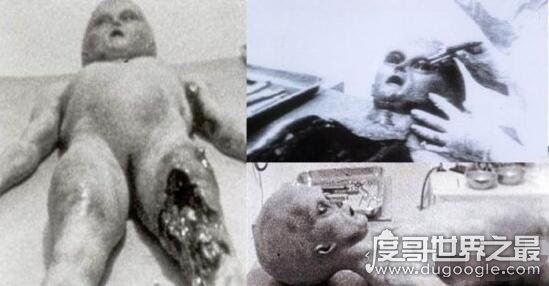 世界十大et外星人图片，证明外星人真的在地球上活动
