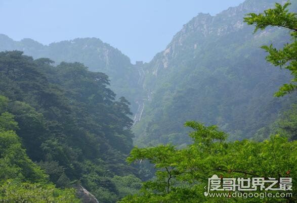 泰山海拔多少米,主峰玉皇顶海拔高达1545米(乃五岳之首)