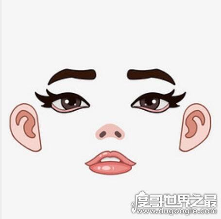 人的五官指什么,眼/耳/鼻/眉/口(人体的五种感觉器官)