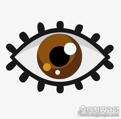 人的五官指什么，眼/耳/鼻/眉/口(人体的五种感觉器官)