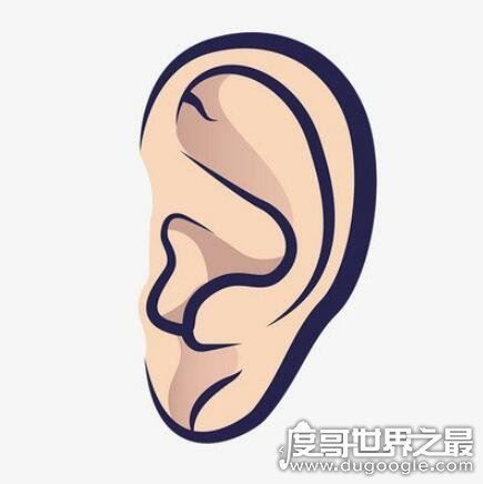 人的五官指什么，眼/耳/鼻/眉/口(人体的五种感觉器官)