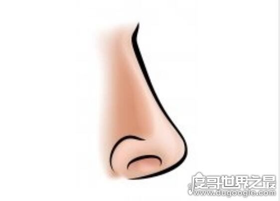 人的五官指什么,眼/耳/鼻/眉/口(人体的五种感觉器官)