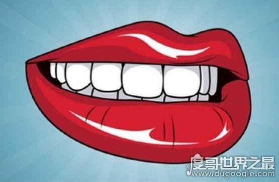 人的五官指什么，眼/耳/鼻/眉/口(人体的五种感觉器官)