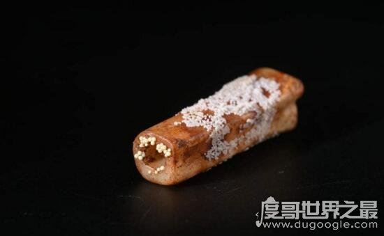 真正的舍利子是什么，珍贵的舍利子图片其实是假的