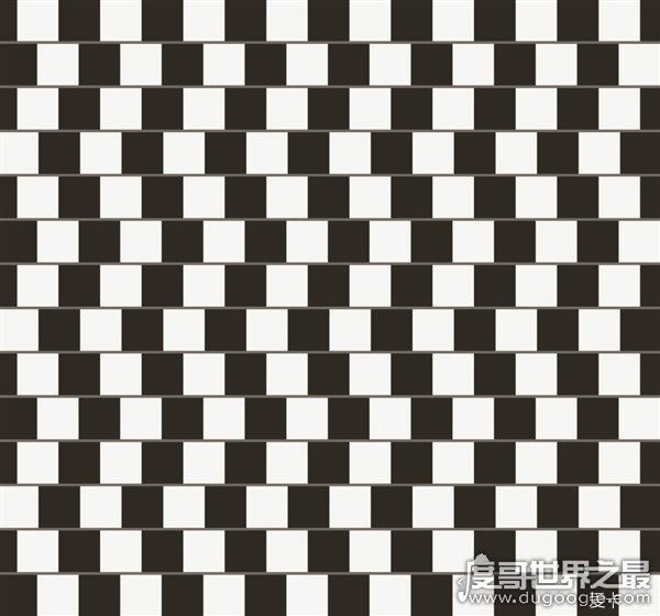 黑林错觉图，让你怀疑眼睛的视觉错觉图