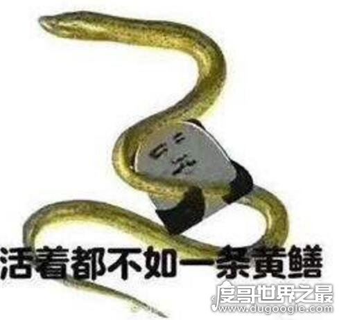 热点：黄鳝门案宣判，涉事女主＂琪琪＂被判1年零9个月