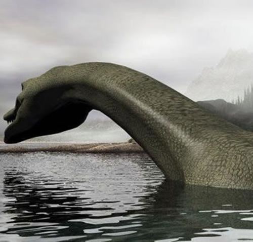 青海湖真龙现身事件，黑龙前后两次现身是真实的吗（几种说法）