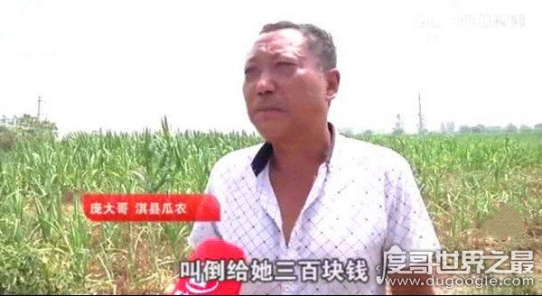 民警让瓜农倒赔偷瓜贼300元,网友:小偷不抓还替小偷维权