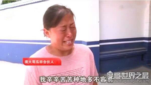 民警让瓜农倒赔偷瓜贼300元，网友：小偷不抓还替小偷维权