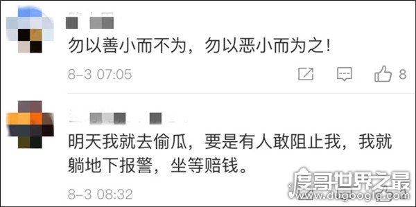 民警让瓜农倒赔偷瓜贼300元，网友：小偷不抓还替小偷维权