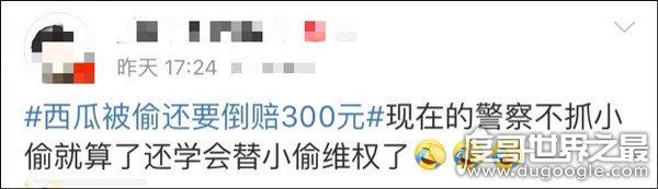 民警让瓜农倒赔偷瓜贼300元，网友：小偷不抓还替小偷维权