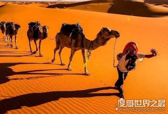 世界上最大的沙漠，撒哈拉沙漠面积相当于一个中国