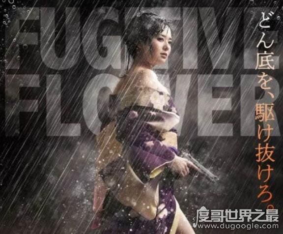 苍井空结婚老公是夜店DJ，苍老师如今从女优转型到演艺圈