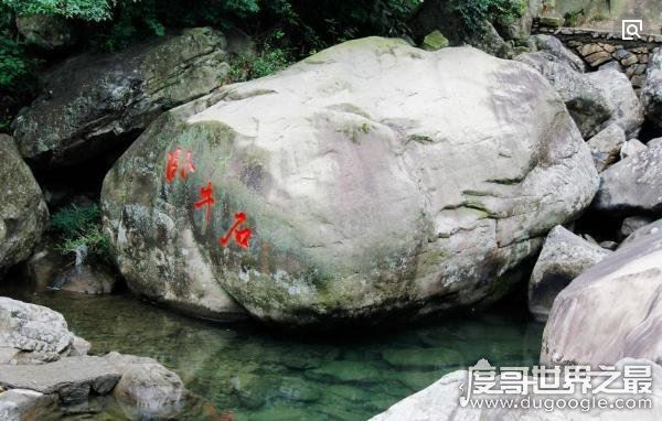 传说中关于石头的故事，忠心黄牛为等主人化为卧牛石