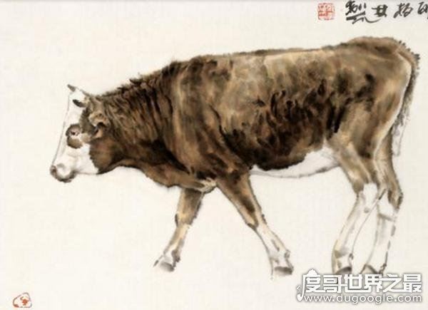 传说中关于石头的故事，忠心黄牛为等主人化为卧牛石