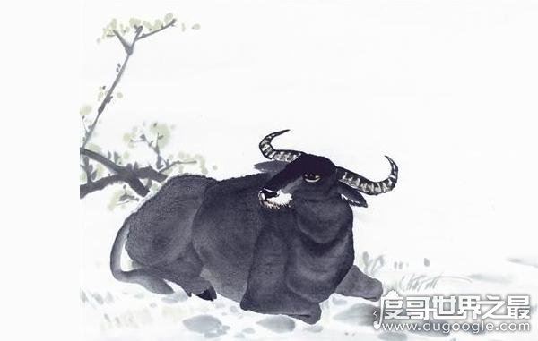 传说中关于石头的故事，忠心黄牛为等主人化为卧牛石