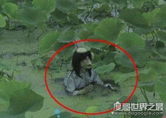 世界上有水猴子吗,水鬼的真实身份被揭开(其实是水獭)