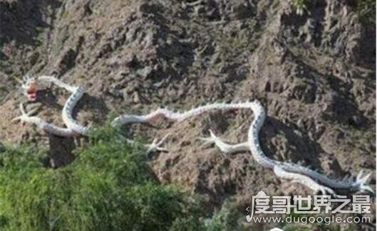 马来西亚发现巨蛇Nabau，长30米长着龙头的怪物