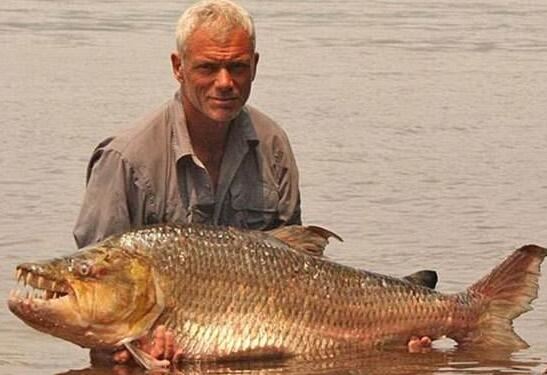 世界上最危险的鱼类，非洲虎鱼吃人(牙齿锋利)